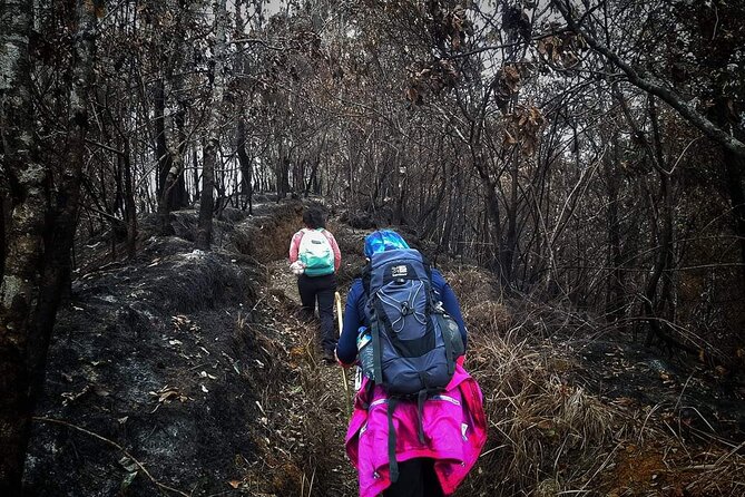 Conquer Mount Rinjani Second Summit: A 2-Day, Lombok-Indonesia - Guides, porters, and the practical side of the hike