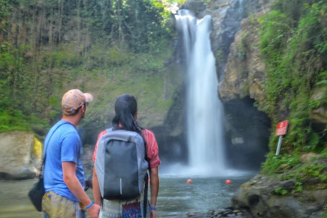 Cretya Ubud and Monkey Forest Sanctuary Tours - Key points at a glance