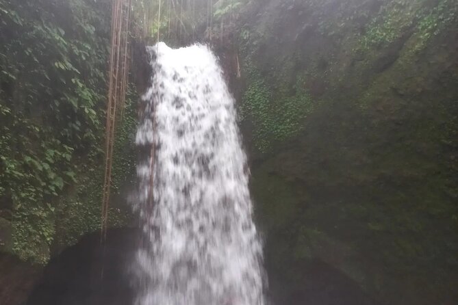 CRETYA Ubud infinity Pool + Hidden Water fall + Water Temple Tour - Is the $65 price good value?