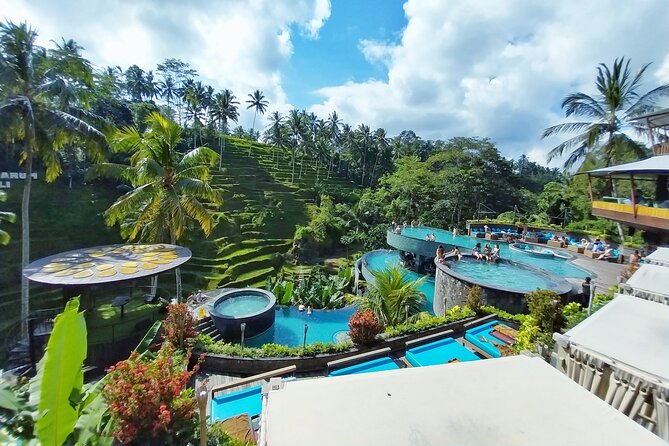 Cretya Ubud Tours - What this private Ubud day is really about