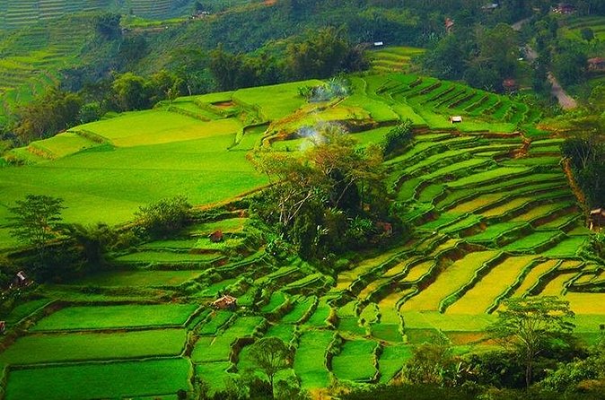 Cunca Wulang Waterfall & Rangko Cave – Full Day Nature Escape - Who should book this Flores day trip?
