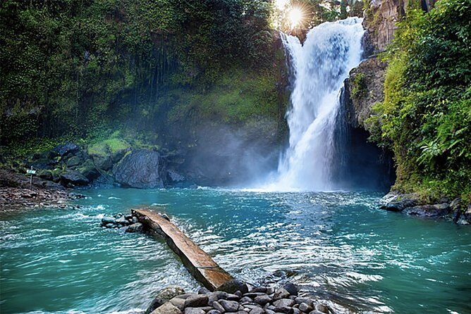 Customizable full-day tour of Bali with private driver - Ubud choices: monkeys, rice terraces, and holy water