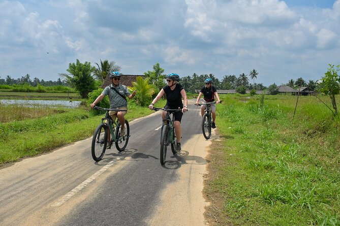Cycling and Cooking Class in Ubud - Ubud and Bongkasa on the route
