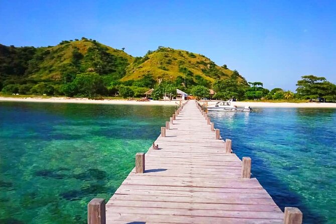 Daily Trip Highlight Komodo Archipelago by Speed Boat - What the $140 price really buys you