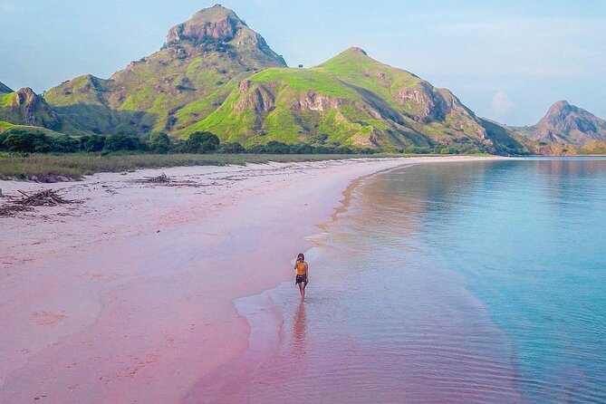 Daily Trip Highlight Komodo Archipelago by Speed Boat - Leaving Labuan Bajo between 6:00 and 6:15 a.m.
