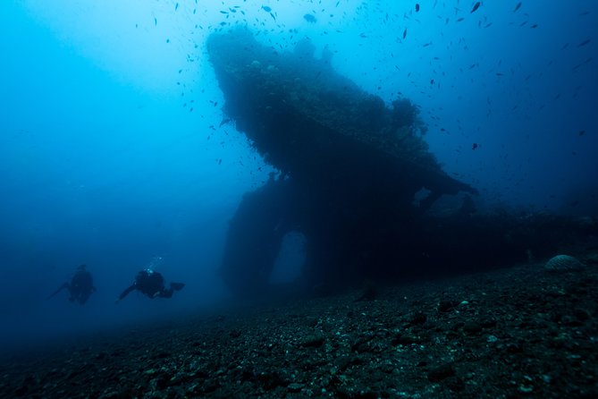 Day Trip certified divers - 3 Dives in Tulamben (pick-up & drop-off included) - The 7am pickup and long road to Tulamben