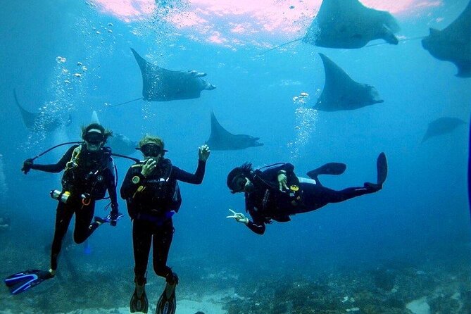 Day Trip Discover Scuba dive in Nusa Penida 2 dives (From Sanur - South Bali) - Why this Nusa Penida day works for beginners