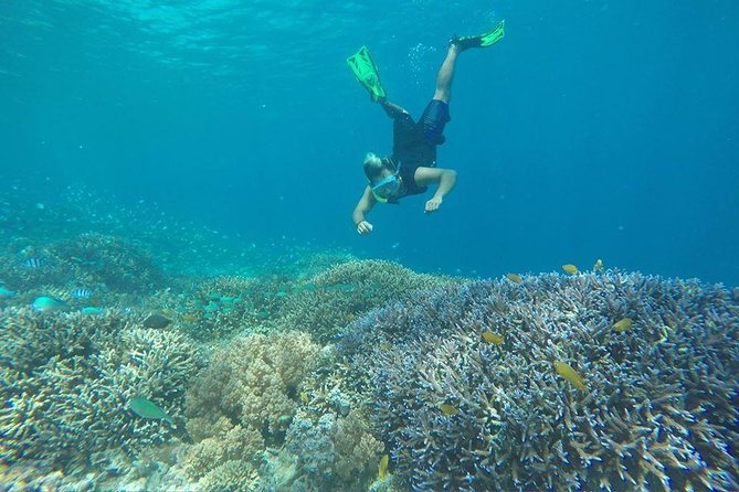 Day Trip Gili Trawangan, Gili Meno, Gili Air (Depart Lombok) - Is $97 a fair price?