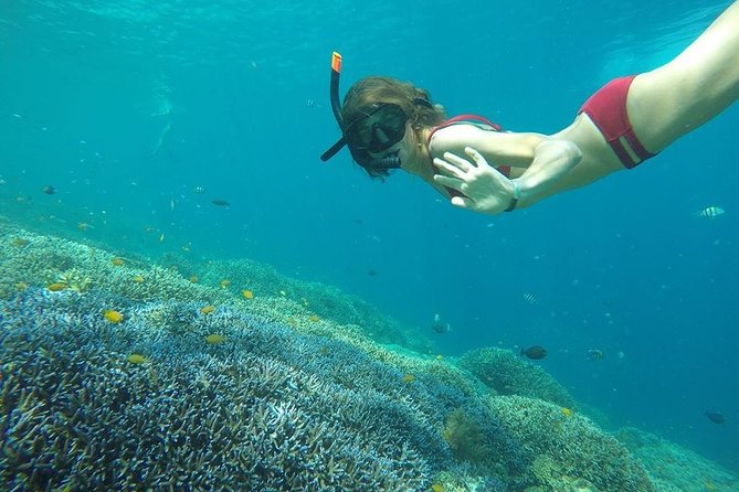 Day Trip Gili Trawangan, Gili Meno, Gili Air (Depart Lombok) - Gili Air and Fish Garden: your first look below the surface