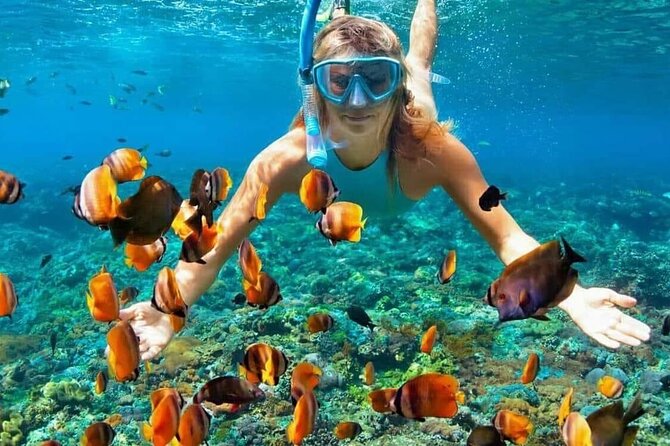Day Trip: Nusa Penida Snorkling - Leaving Seminyak for the island