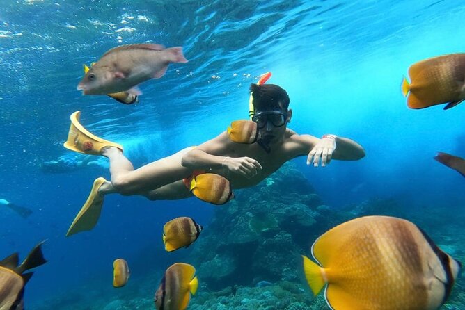 Day Trip: Nusa Penida Snorkling - Three hours at Manta Point, Crystal Bay, and Gamat Bay