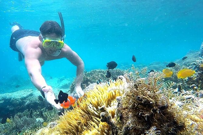 Day Trip Secret Island West Of Lombok - West Lombok’s quieter answer to the Gili Islands