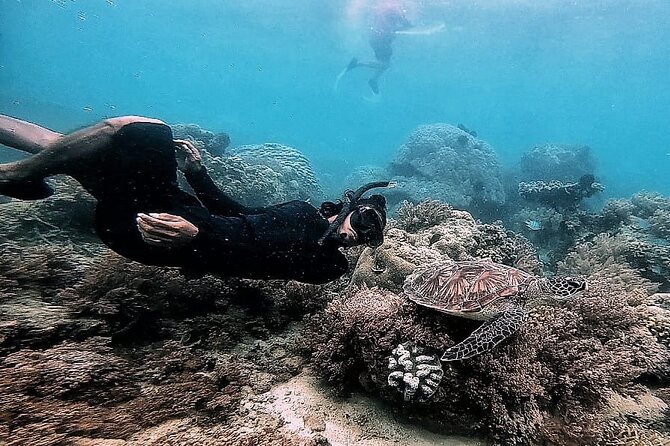 Day Trip Secret Island West Of Lombok - Gili Gede gives the day a gentle start