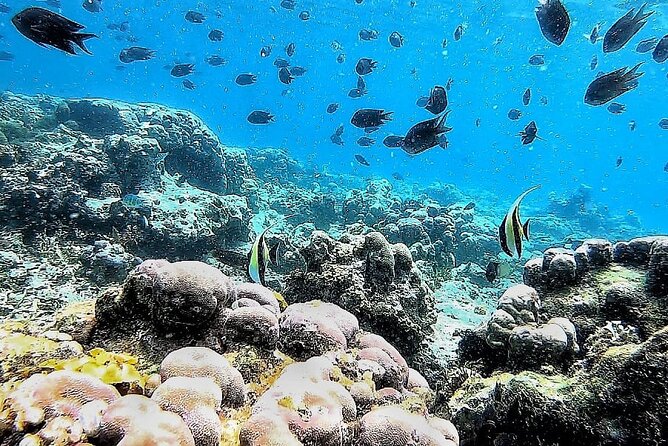 Day Trip Secret Island West Of Lombok - Gili Asahan adds another coral stop