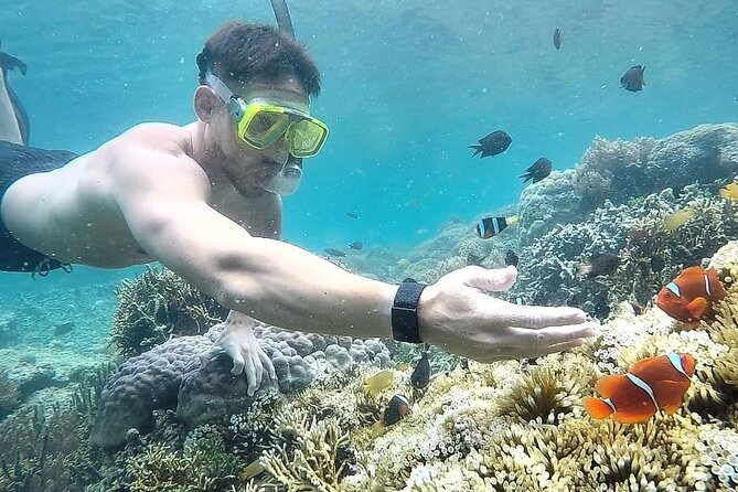Day Trip Secret Island West Of Lombok - Eight hours on the water, with transfers built in