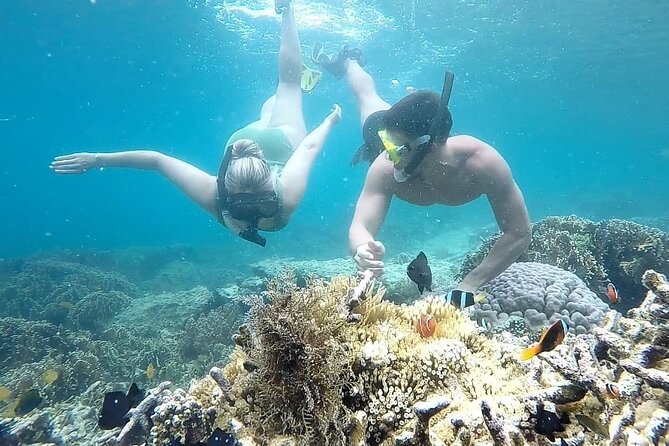 Day Trip Secret Island West Of Lombok - Private pricing makes the trip strongest for four people