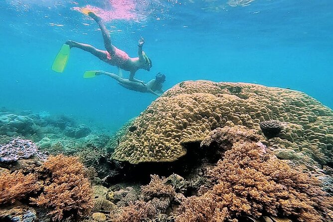 Day Trip Secret Island West Of Lombok - Who will enjoy this outing most