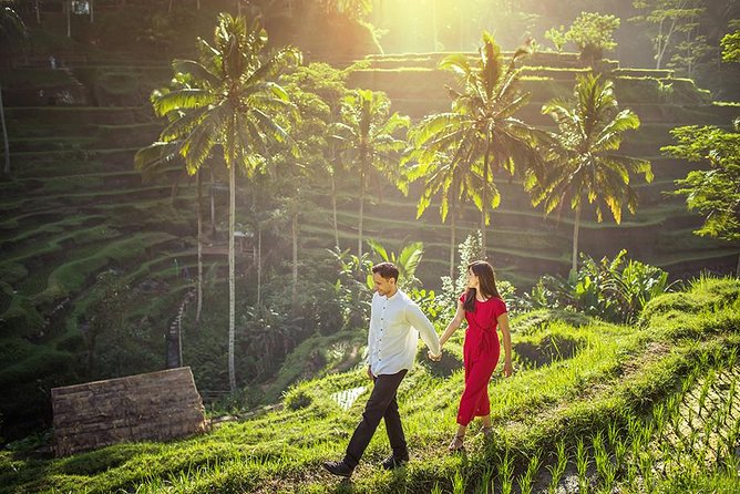 Day Trip: Ubud Monkey Forest, Rice Terrace, Temple and Waterfall - Tegalalang Rice Terrace and Bali’s farming system