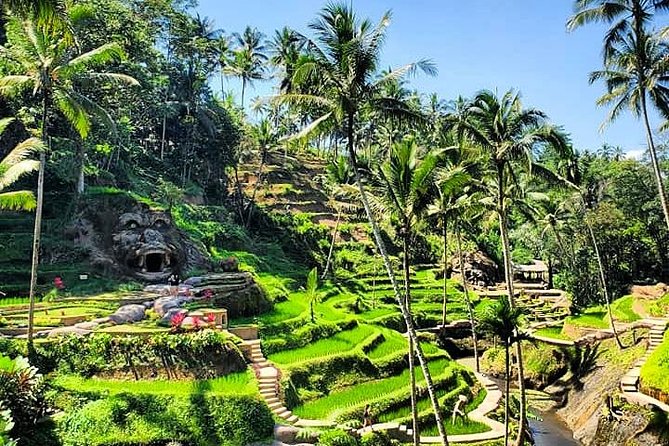 Design Your Own Bali Tour - Vehicle comfort and what is included