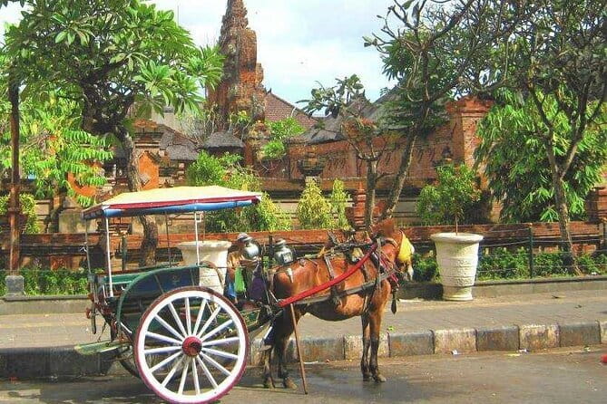 Discover Bali : Shore Excursion from Benoa Port with Free Wi-Fi - Key things to know before booking