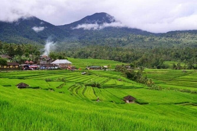 Discover Bali : Shore Excursion from Benoa Port with Free Wi-Fi - Ubud: two hours to finish the day