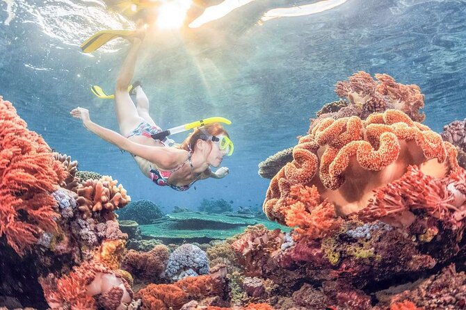 Discover East Bali: Snorkeling Blue lagoon & Instagramable Spots - Tirta Gangga’s fountains and royal pools