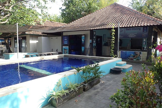 Discover Scuba Diving and dive in Menjangan Island Marine Park 2 dives - Why Menjangan works so well for a first scuba day