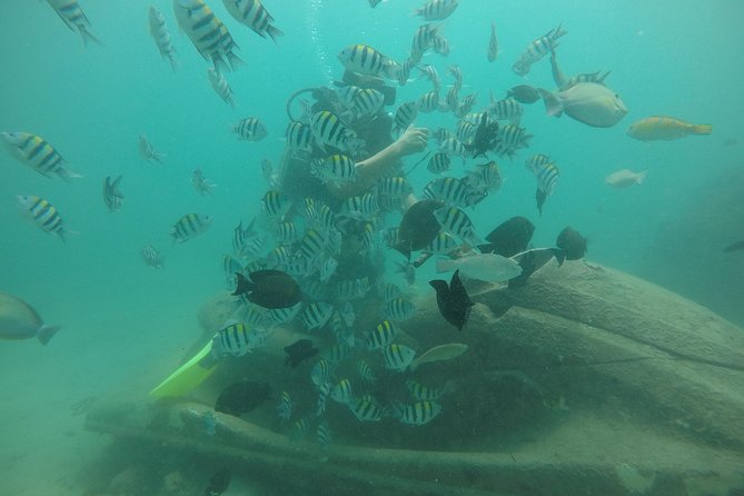 Discover Scuba Diving ( beginners) Combined With Jet Ski - What the first underwater session feels like