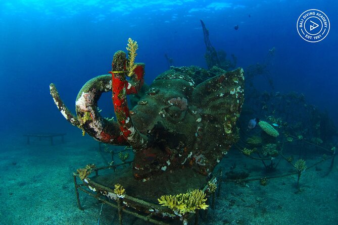 Discover Scuba Diving in Pemuteran at the Biorock site,1 shore dive all included - How the instruction affects your comfort
