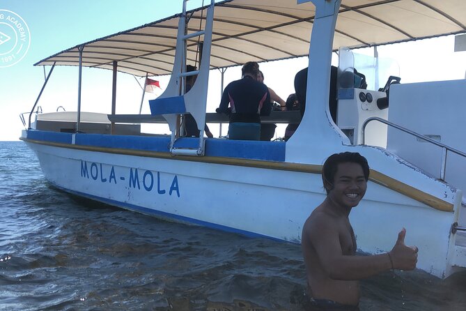 Discover Scuba Diving in Pemuteran at the Biorock site,1 shore dive all included - What the $75 price includes