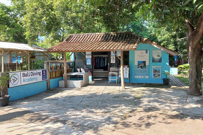 Discover Scuba Diving in Pemuteran at the Biorock site,1 shore dive all included - Who will get the most from this program
