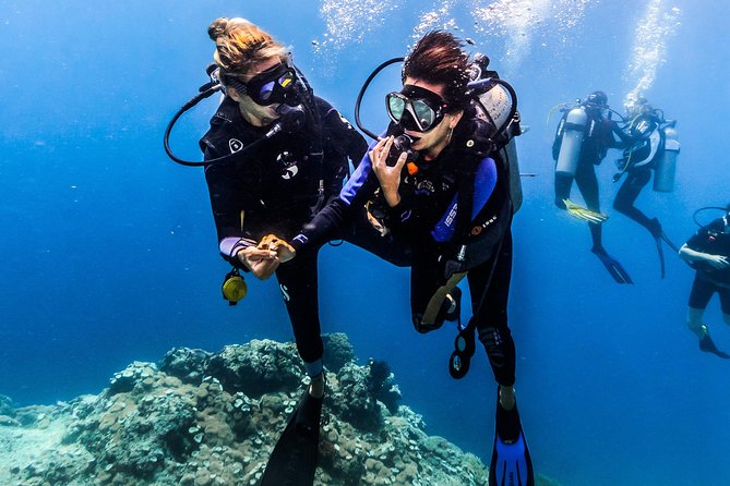 Discover Scuba Diving in Pemuteran - Diving Initiation in Bali (Menjangan Park) - The first session near Menjangan National Park