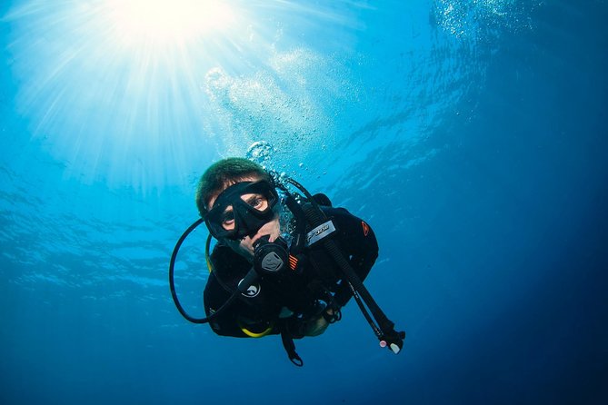 Discover Scuba Diving in Pemuteran - Diving Initiation in Bali (Menjangan Park) - Practical details that can make the day easier
