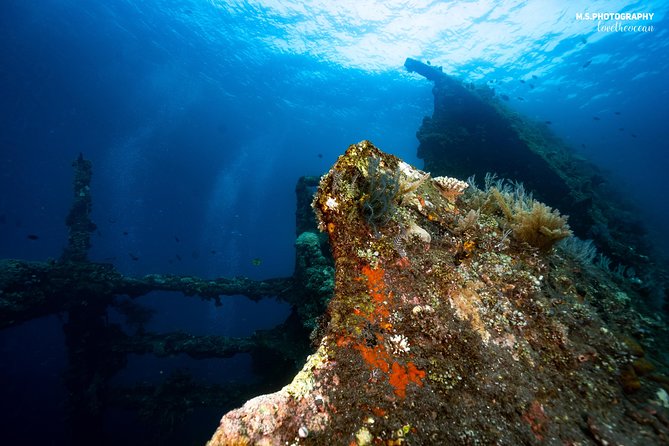 Discover Scuba Diving in Tulamben - Diving Initiation in Bali best diving sites - Step two: Coral Garden, a gentle introduction to the sea