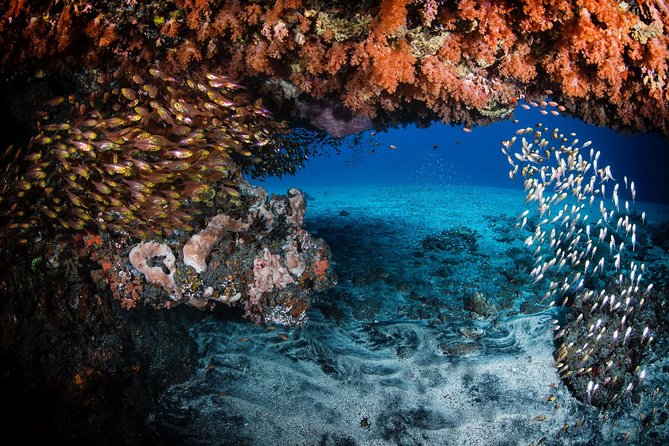 Discover Scuba Diving in Tulamben - Diving Initiation in Bali best diving sites - What the $89.40 price includes
