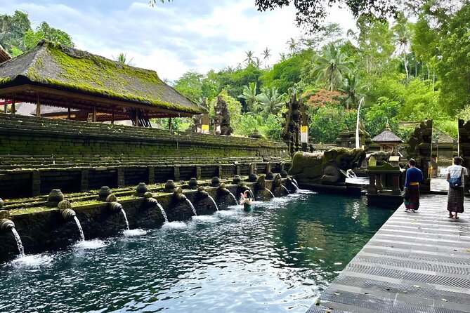 Discover The Best of Ubud: All-Inclusive and Private Guided Tour - A smart way to cover Ubud in one day