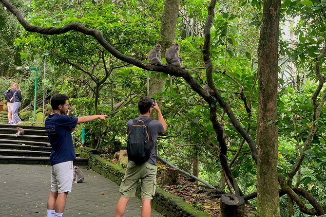 Discover The Best of Ubud: All-Inclusive and Private Guided Tour - Understanding Tirta Empul Temple