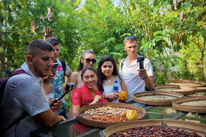 Discover The Best of Ubud: All-Inclusive and Private Guided Tour - Ending at the Pemulan Bali Coffee Plantation