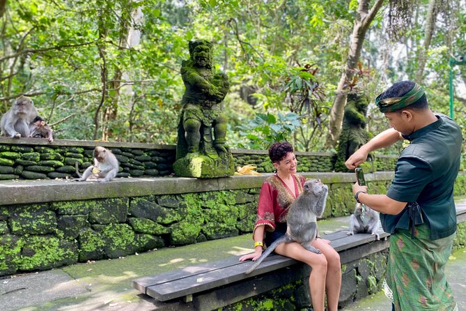 Discover The Best of Ubud: All-Inclusive and Private Guided Tour - What your driver-guide adds