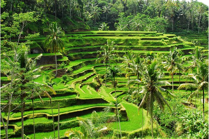 Discover Ubud: 2 Days Ubud Private Tour - Why this two-day Ubud plan works