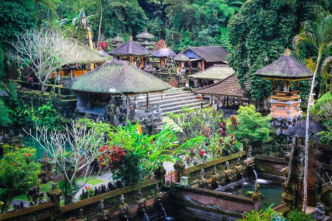 Discover Ubud: 2 Days Ubud Private Tour - Tegalalang Rice Terrace and the jungle swing