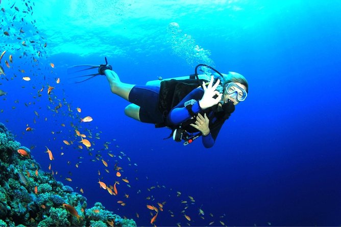 Dive at Tulamben Bali USS Liberty Ship Wreck - Stop two: the USS Liberty wreck