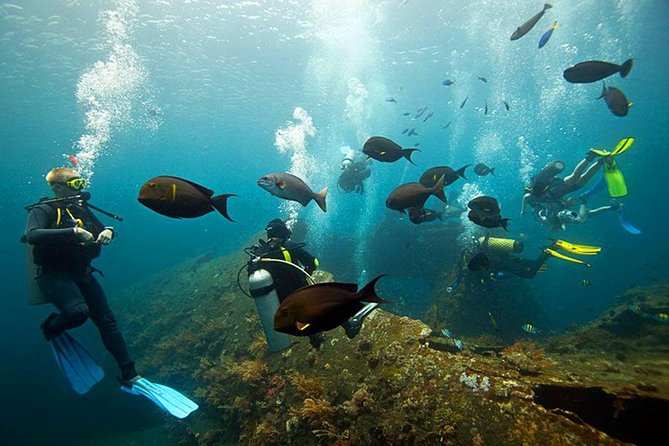 Dive at Tulamben Bali USS Liberty Ship Wreck - What the included equipment and guide mean