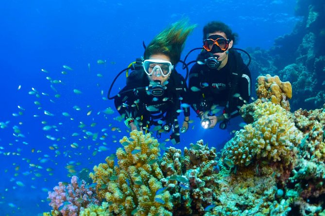 Dive at Tulamben Bali USS Liberty Ship Wreck - Who should book this experience