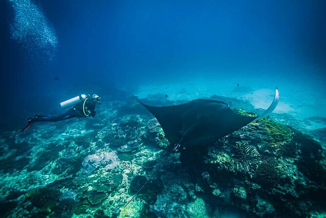 Diving in Nusa Penida - Pool training before open water