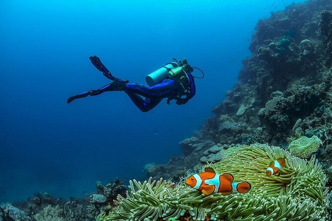 Diving in Nusa Penida - First site: the manta ray area