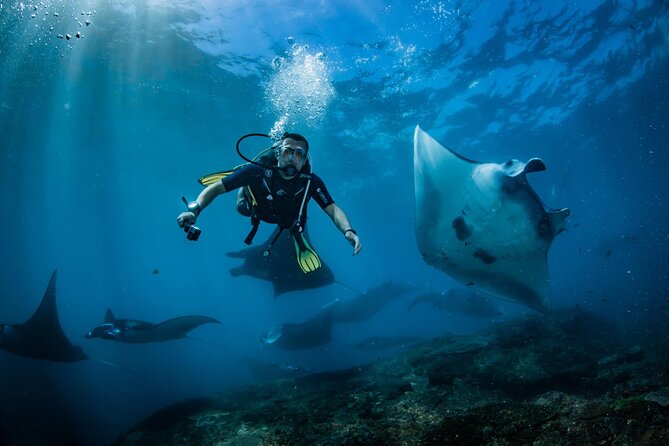 Diving in Nusa Penida - Meeting at Sanctum Dive in Nusa Penida
