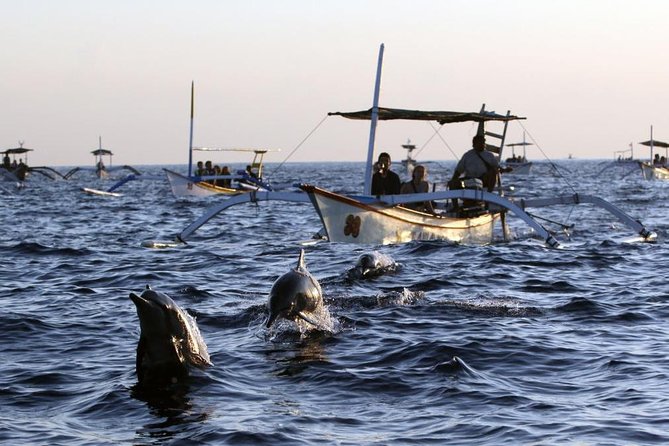 Dolphin Tour and Sunrise Watching in Lovina Beach - All Inclusive - Leaving Bali before dawn for Lovina