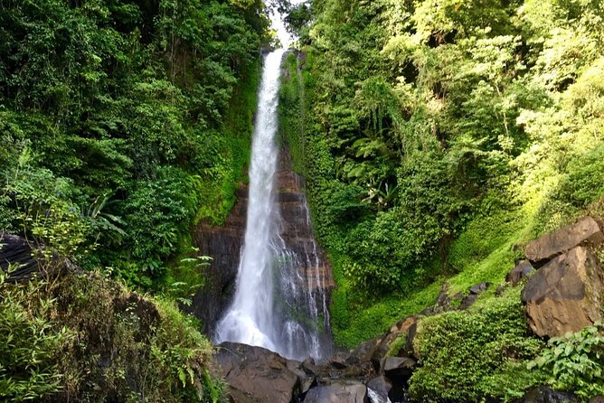 Dolphin Tour and Sunrise Watching in Lovina Beach - All Inclusive - Wanagiri Hidden Hills and the Lake Buyan swing