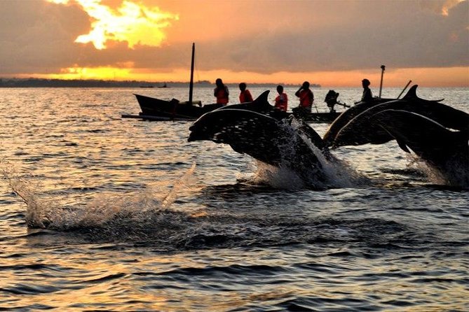 Dolphin Tour and Sunrise Watching in Lovina Beach - All Inclusive - Breakfast at Coffee Nosky after the sea